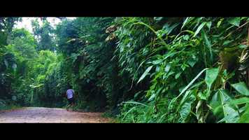 Free download Trailer Defying Boundaries video and edit with RedcoolMedia movie maker MovieStudio video editor online and AudioStudio audio editor onlin