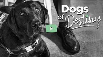 Free download TrailerDogs of Destiny S1:E3 Freedom Walk video and edit with RedcoolMedia movie maker MovieStudio video editor online and AudioStudio audio editor onlin