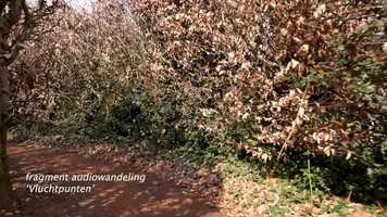 Free download Trailer _Dorien de Wit_Vluchtpunten video and edit with RedcoolMedia movie maker MovieStudio video editor online and AudioStudio audio editor onlin