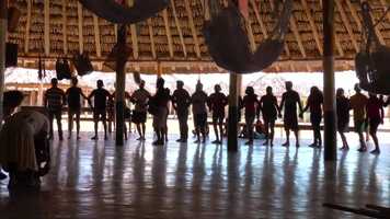 Free download Trailer EcoBrasilFest.mp4 video and edit with RedcoolMedia movie maker MovieStudio video editor online and AudioStudio audio editor onlin