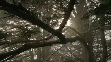 Free download TRAILER_EDIT_10_FadeOn video and edit with RedcoolMedia movie maker MovieStudio video editor online and AudioStudio audio editor onlin