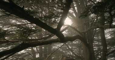 Free download TRAILER_EDIT_12_MapTweak_2048_WebMix_GEN video and edit with RedcoolMedia movie maker MovieStudio video editor online and AudioStudio audio editor onlin