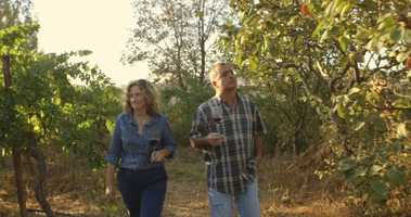 Free download TRAILER_EDIT_12_MapTweak_2048_WebMix video and edit with RedcoolMedia movie maker MovieStudio video editor online and AudioStudio audio editor onlin