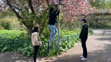 Free download Trailer EntCom 1 - SD 480p.mov video and edit with RedcoolMedia movie maker MovieStudio video editor online and AudioStudio audio editor onlin