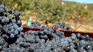 Free download trailer Family Wine video and edit with RedcoolMedia movie maker MovieStudio video editor online and AudioStudio audio editor onlin