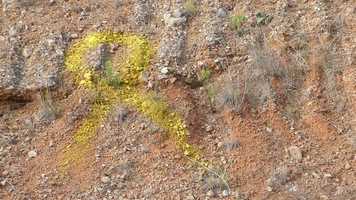 Free download Trailer FERIDA OBERTA video and edit with RedcoolMedia movie maker MovieStudio video editor online and AudioStudio audio editor onlin