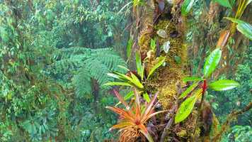 Free download Trailer final w/o music video and edit with RedcoolMedia movie maker MovieStudio video editor online and AudioStudio audio editor onlin