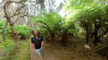 Free download Trailer-Flat-Homepage.mp4 video and edit with RedcoolMedia movie maker MovieStudio video editor online and AudioStudio audio editor onlin