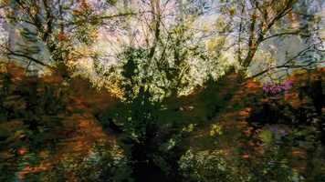 Free download Trailer for: ITS EXISTENCE COMMENCED THIS HOUR a film by Wolfgang Lehmann (2019) video and edit with RedcoolMedia movie maker MovieStudio video editor online and AudioStudio audio editor onlin