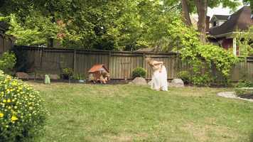 Free download Trailer |Harlequin | Best Friend From Heaven |VO video and edit with RedcoolMedia movie maker MovieStudio video editor online and AudioStudio audio editor onlin