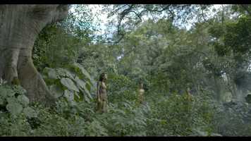 Free download Trailer Las Flores del Oro SUBT ENG video and edit with RedcoolMedia movie maker MovieStudio video editor online and AudioStudio audio editor onlin