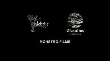 Free download Trailer La Vocera de Luciana Kaplan video and edit with RedcoolMedia movie maker MovieStudio video editor online and AudioStudio audio editor onlin