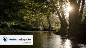 Free download Trailer NABU|naturgucker-Akademie video and edit with RedcoolMedia movie maker MovieStudio video editor online and AudioStudio audio editor onlin