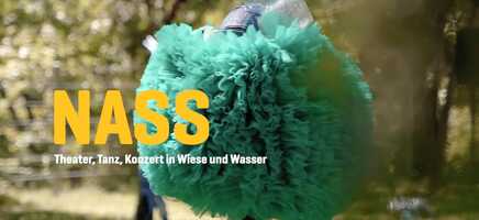 Free download Trailer: NASS video and edit with RedcoolMedia movie maker MovieStudio video editor online and AudioStudio audio editor onlin