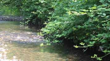 Free download trailer Phyllis Atkins video and edit with RedcoolMedia movie maker MovieStudio video editor online and AudioStudio audio editor onlin