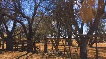 Free download Trailer Quebrada de la plata 2020 video and edit with RedcoolMedia movie maker MovieStudio video editor online and AudioStudio audio editor onlin