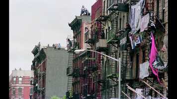 Free download Trailer SQUATTERS video and edit with RedcoolMedia movie maker MovieStudio video editor online and AudioStudio audio editor onlin