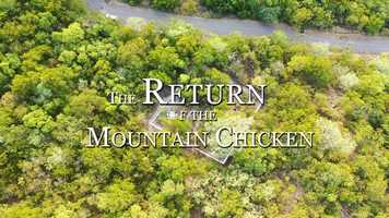 Free download Trailer The Return of the Mountain Chicken video and edit with RedcoolMedia movie maker MovieStudio video editor online and AudioStudio audio editor onlin