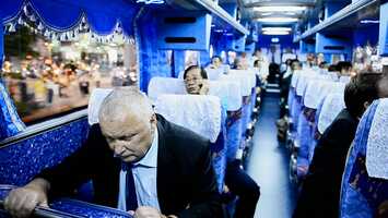 Free download Trailer TIGRE  BUFFLE  un film de Fabian Biasio video and edit with RedcoolMedia movie maker MovieStudio video editor online and AudioStudio audio editor onlin