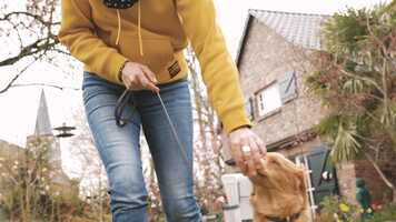 Free download Trailer Welpentraining Positivoption video and edit with RedcoolMedia movie maker MovieStudio video editor online and AudioStudio audio editor onlin