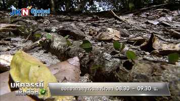 Free download Trailer - Wonderful Life video and edit with RedcoolMedia movie maker MovieStudio video editor online and AudioStudio audio editor onlin