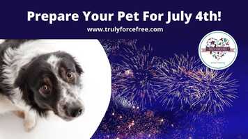 Free download #trainerquicktip Prepare Your Pet For July 4th! video and edit with RedcoolMedia movie maker MovieStudio video editor online and AudioStudio audio editor onlin