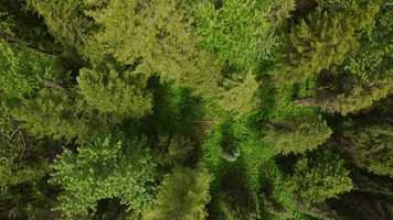 Free download Trane Technologies video and edit with RedcoolMedia movie maker MovieStudio video editor online and AudioStudio audio editor onlin