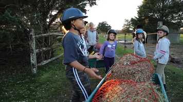 Free download Transforming Lives Movie Trailer video and edit with RedcoolMedia movie maker MovieStudio video editor online and AudioStudio audio editor onlin