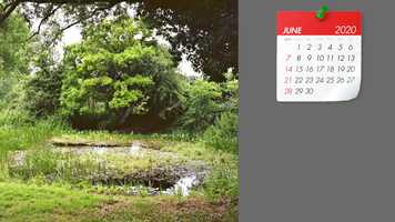 Free download Transitions (with music) video and edit with RedcoolMedia movie maker MovieStudio video editor online and AudioStudio audio editor onlin