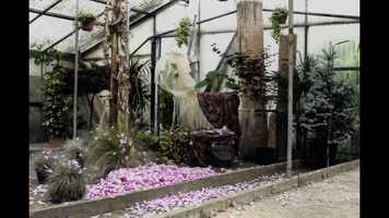 Free download TRANSMUTATIO video and edit with RedcoolMedia movie maker MovieStudio video editor online and AudioStudio audio editor onlin