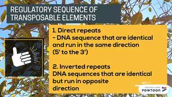 Free download transposon video and edit with RedcoolMedia movie maker MovieStudio video editor online and AudioStudio audio editor onlin