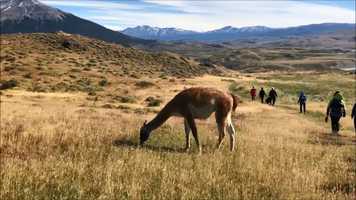 Free download Travelers having fun video and edit with RedcoolMedia movie maker MovieStudio video editor online and AudioStudio audio editor onlin