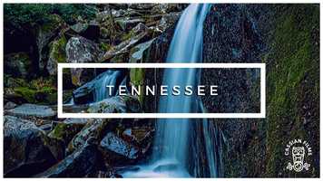 Free download Travel Together | Cassian Films Inc video and edit with RedcoolMedia movie maker MovieStudio video editor online and AudioStudio audio editor onlin