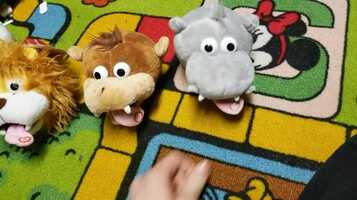 Free download Travis Oates video and edit with RedcoolMedia movie maker MovieStudio video editor online and AudioStudio audio editor onlin