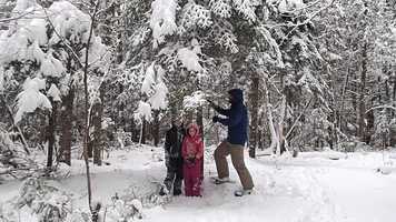 Free download Tree-avalanche video and edit with RedcoolMedia movie maker MovieStudio video editor online and AudioStudio audio editor onlin