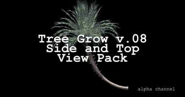 Free download Tree Grow v. 08 Side and Top View Pack | Motion Graphics - Envato elements video and edit with RedcoolMedia movie maker MovieStudio video editor online and AudioStudio audio editor onlin