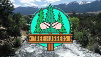 Free download Tree Huggers Comedy Official Trailer - Green Band video and edit with RedcoolMedia movie maker MovieStudio video editor online and AudioStudio audio editor onlin