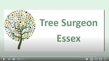 Free download Tree Surgeon Essex - Pollarding Tree Services video and edit with RedcoolMedia movie maker MovieStudio video editor online and AudioStudio audio editor onlin