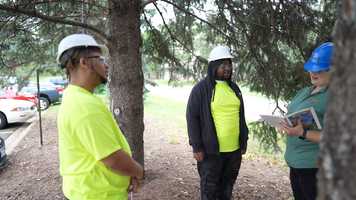 Free download Tree Trust YouthBuild video and edit with RedcoolMedia movie maker MovieStudio video editor online and AudioStudio audio editor onlin