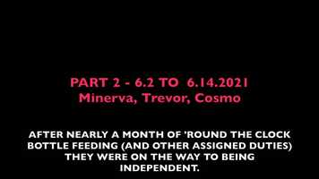 Free download TREVOR MINERVA COSMO PART 2 video and edit with RedcoolMedia movie maker MovieStudio video editor online and AudioStudio audio editor onlin