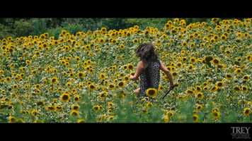 Free download Trey Yoder | Video Reel video and edit with RedcoolMedia movie maker MovieStudio video editor online and AudioStudio audio editor onlin