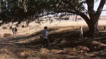 Free download Tribute to Pancho video and edit with RedcoolMedia movie maker MovieStudio video editor online and AudioStudio audio editor onlin