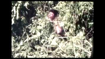 Free download Triler LA VENGANZA DE JAIRO video and edit with RedcoolMedia movie maker MovieStudio video editor online and AudioStudio audio editor onlin