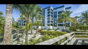 Free download Trim and Music SK video and edit with RedcoolMedia movie maker MovieStudio video editor online and AudioStudio audio editor onlin