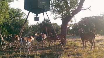 Free download True Life Hunting Adventures Season 2 Episode 8 video and edit with RedcoolMedia movie maker MovieStudio video editor online and AudioStudio audio editor onlin