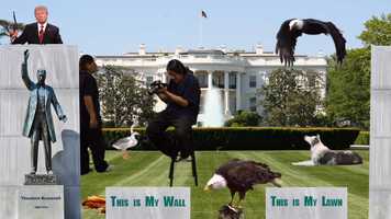 Free download trumpingTrumpTrumpedbyArtEarthmann video and edit with RedcoolMedia movie maker MovieStudio video editor online and AudioStudio audio editor onlin