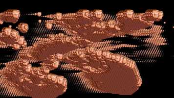 Free download Trumptard_fake news dance video and edit with RedcoolMedia movie maker MovieStudio video editor online and AudioStudio audio editor onlin