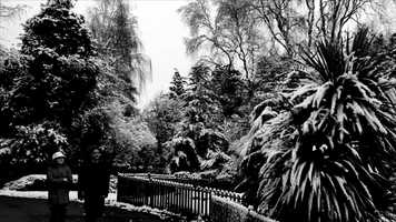 Free download Trust Hurts | short film noir. video and edit with RedcoolMedia movie maker MovieStudio video editor online and AudioStudio audio editor onlin