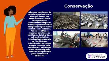 Free download Tubares: Peixes Cartilaginosos video and edit with RedcoolMedia movie maker MovieStudio video editor online and AudioStudio audio editor onlin