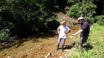 Free download tude dun cours deau avec Naturama video and edit with RedcoolMedia movie maker MovieStudio video editor online and AudioStudio audio editor onlin